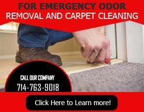 Blog | Carpet Cleaning Tustin, CA